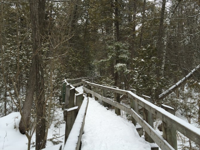 Crawford Lake by Aslin Kirkpatrick